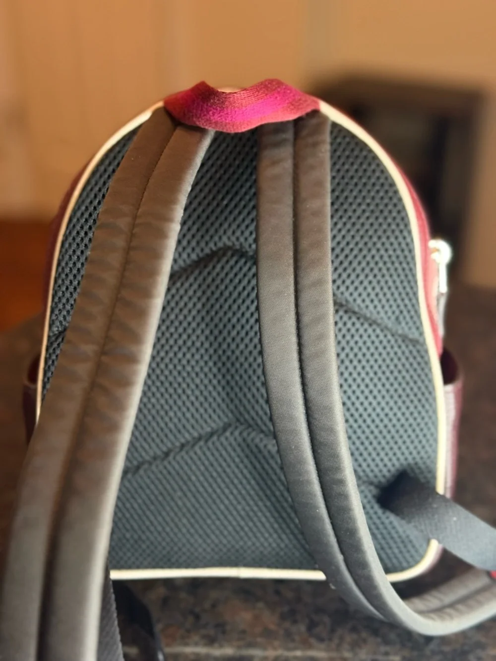 Coach Pink and Burgundy Colorblock Leather Mini Court Backpack Skiing